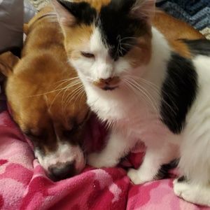 Meet your Posher, Farren